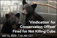 &#39;Vindication&#39; for Conservation Officer Fired for Not Killing Cubs