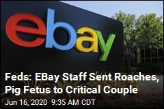 Feds: EBay Staff Sent Roaches, Pig Fetus to Critical Couple