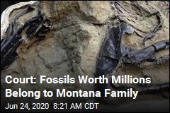 Court: Fossils Worth Millions Belong to Montana Family