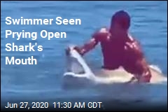 Swimmer Seen Prying Open Shark&#39;s Mouth
