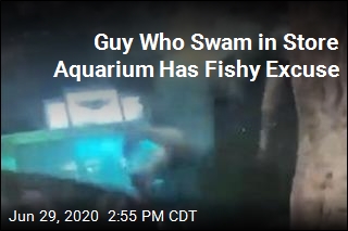 Guy Who Swam in Store Aquarium Has Fishy Excuse