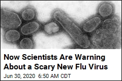 Oh, Great: A Flu Virus With &#39;Pandemic Potential&#39; Discovered