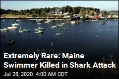 Extremely Rare: Maine Swimmer Killed in Shark Attack