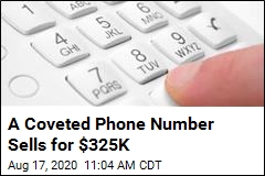 Somebody Paid $325K for a Phone Number