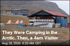 They Were Camping in the Arctic. Then, a 4am Visitor