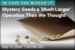 Many People Planted Those Mystery Seeds. Others Ate Them