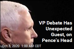 VP Debate Has Unexpected Guest, on Pence&#39;s Head