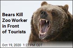 Bears Kill Zoo Worker in Front of Tourists