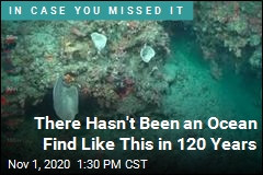 There Hasn&#39;t Been an Ocean Find Like This in 120 Years
