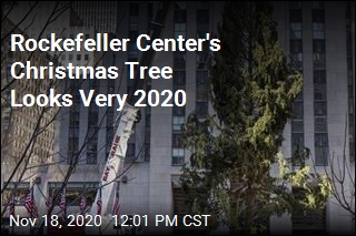 NYC&#39;s Christmas Tree Is 75 Feet Tall, Underwhelming