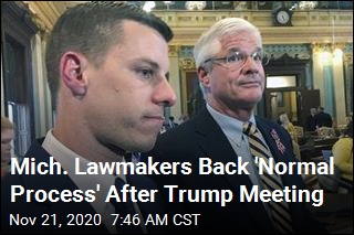 Michigan Lawmakers Sound Skeptical on Overturning Vote