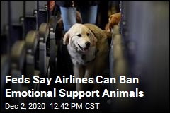 Feds Say Airlines Can Ban Emotional Support Animals