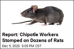 Rats Reportedly Commandeer an NYC Chipotle