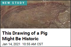 This Might Be the Oldest Drawing of an Animal, Ever
