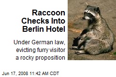 Raccoon Checks Into Berlin Hotel