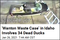 Idaho Officials Want to Know Who Dumped 34 Dead Ducks