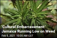 Dude! Jamaica Faces Weed Shortage