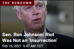 Sen. Ron Johnson: That Was No &#39;Armed Insurrection&#39;