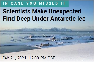 Scientist Make Unexpected Find Deep Under Antarctic Ice