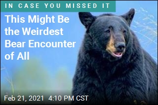 This Might Be the Weirdest Bear Encounter of All