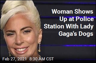 Lady Gaga Dog Saga Has an Update