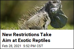 New Restrictions Take Aim at Exotic Reptiles