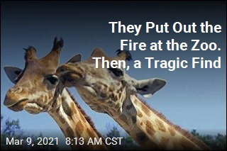 They Put Out the Fire at the Zoo. Then, a Tragic Find