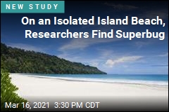 On an Isolated Island Beach, Researchers Find Superbug