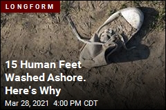 15 Human Feet Washed Ashore. Science Explains Why