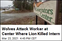 Wolves Attack Worker at Center Where Lion Killed Intern