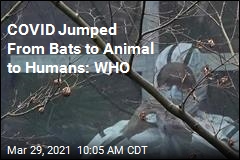 COVID Jumped to Humans From Animals: WHO
