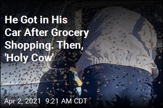 He Was in the Store for 10 Minutes. 15K Bees Flew Into His Car