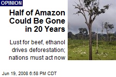 Half of Amazon Could Be Gone in 20 Years