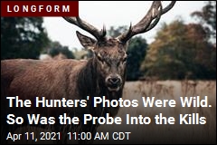 The Hunters&#39; Kills Seemed Suspicious. The Probe Was Wild