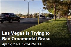 Las Vegas Is Trying to Ban Ornamental Grass