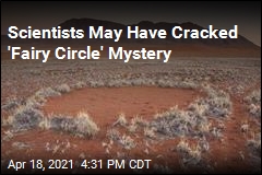 Scientists May Have Cracked &#39;Fairy Circle&#39; Mystery