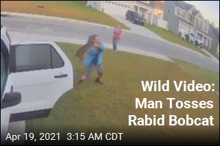 Wild Video: Man Tosses Rabid Bobcat
