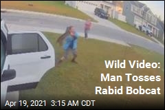 Wild Video: Man Tosses Rabid Bobcat