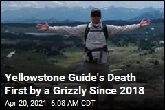 Yellowstone Guide&#39;s Death First by a Grizzly Since 2018