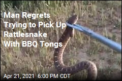Rattlesnake Bites Man Who Tried to Pick It Up With BBQ Tongs