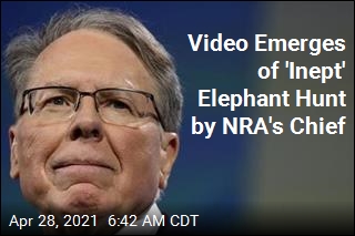 Video Emerges of &#39;Inept&#39; Elephant Hunt by NRA&#39;s Chief