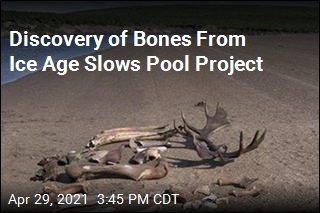 Discovery of Bones From Ice Age Slows Pool Project