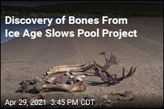 Discovery of Bones From Ice Age Slows Pool Project