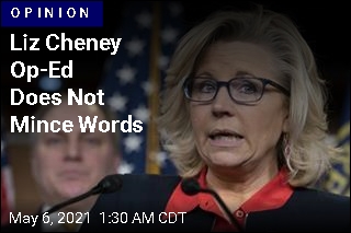 Liz Cheney Lays Out Plan in Washington Post Op-Ed