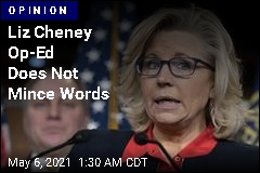 Liz Cheney Lays Out Plan in Washington Post Op-Ed