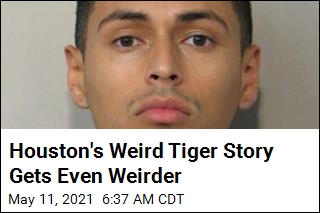 Houston&#39;s Weird Tiger Story Gets Even Weirder