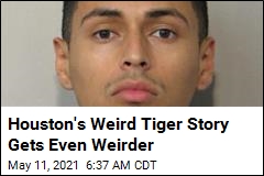 Houston&#39;s Weird Tiger Story Gets Even Weirder