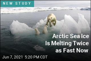 Arctic Sea Ice Is Melting Twice as Fast Now