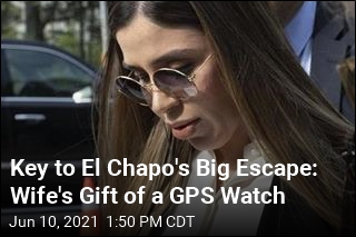 El Chapo&#39;s Wife Admits Helping Run Cartel