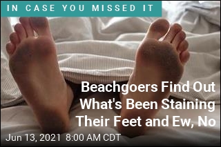 People&#39;s Feet Turn Black From Walking Through Beach&#39;s Dead Bugs